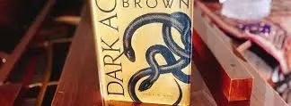 Dark Age (Red Rising, #5) Dark Age (Red Rising, #5)